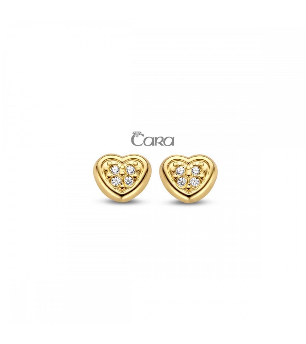 Boucles d'oreilles bicolores or - 18 carats - CARA