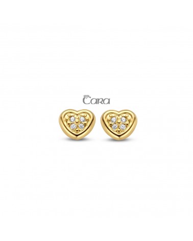 Boucles d'oreilles bicolores or - 18 carats - CARA